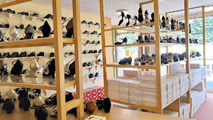 Chaussures danse femme et homme